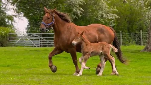 Countryfile S34E24 • Oglądaj Online