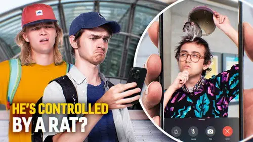 Jet Lag: The Game Temporada 7 Episodios 5 • Sub Español