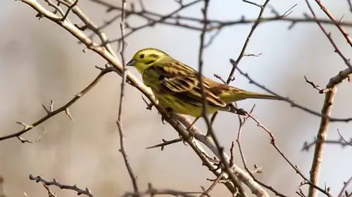 Countryfile S36E1 • Oglądaj Online