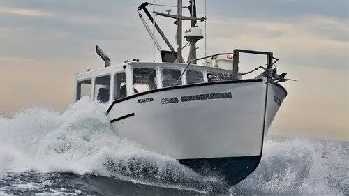 Pesca Pesada Temporada 0 Episodios 12 • Sub Español