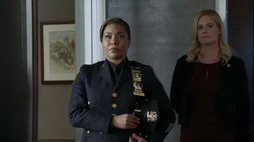 Familia de policías Temporada 13 Episodios 11 • Sub Español