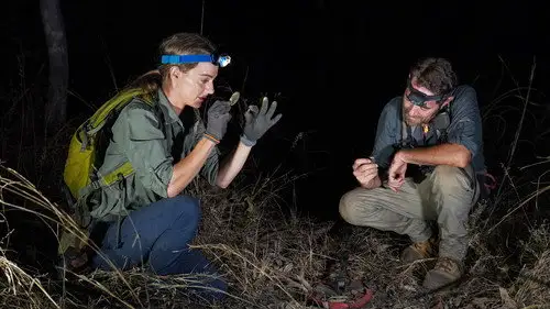 Australijscy poszukiwacze złota S8E13 • Oglądaj Online