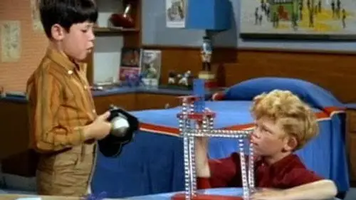 Family Affair Temporada 2 Episodios 24 • Sub Español