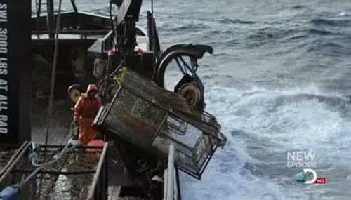 Pesca radical Temporada 8 Episodios 7 • Sub Español