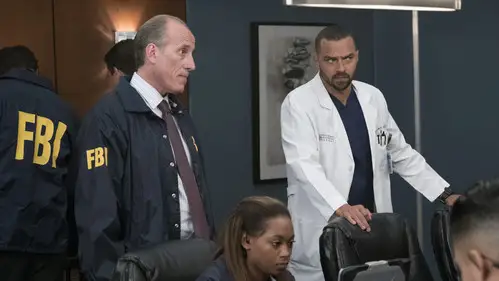 Anatomía de Grey Temporada 14 Cap 8 • Español Online