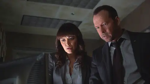 Familia de policías Temporada 5 Episodios 14 • Sub Español
