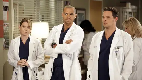 Anatomía de Grey Temporada 9 Cap 4 • Español Online