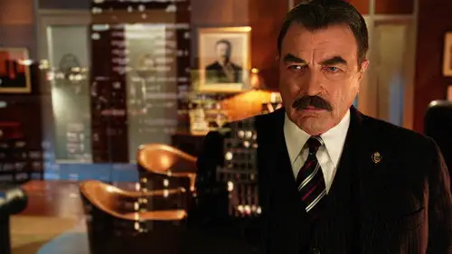 Familia de policías Temporada 6 Episodios 13 • Sub Español