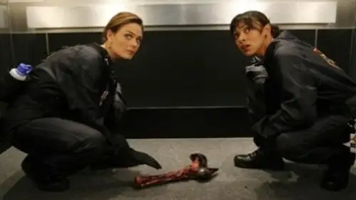 Bones Temporada 4 Episodios 6 • Sub Español