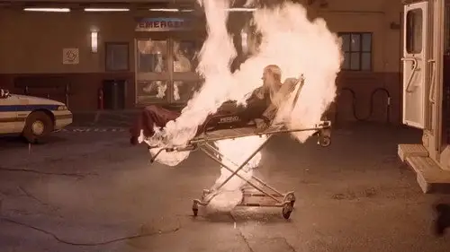 Urgencias Temporada 14 Episodios 16 • Sub Español