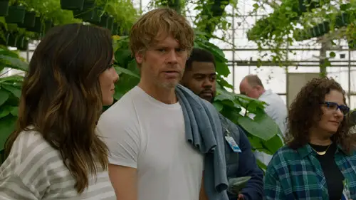 NCIS: Los Ángeles Temporada 14 Cap 18 • Español Online