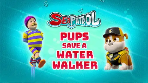 La Patrulla Canina Temporada 8 Episodios 3 • Sub Español