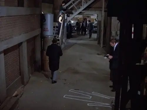 Ironside Temporada 7 Episodios 16 • Sub Español