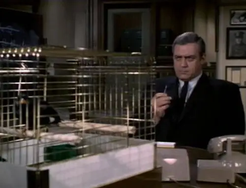 Ironside Temporada 2 Episodios 10 • Sub Español