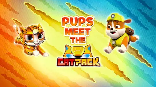 La Patrulla Canina Temporada 9 Episodios 13 • Sub Español