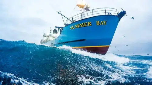 Pesca radical Temporada 17 Episodios 4 • Sub Español