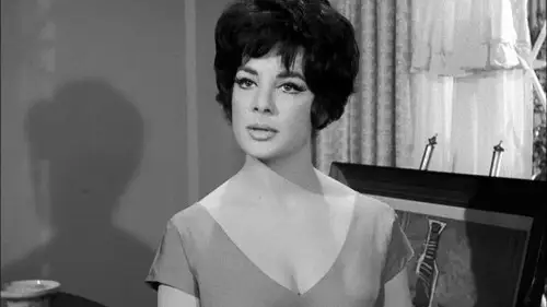 Perry Mason Temporada 5 Episodios 19 • Sub Español