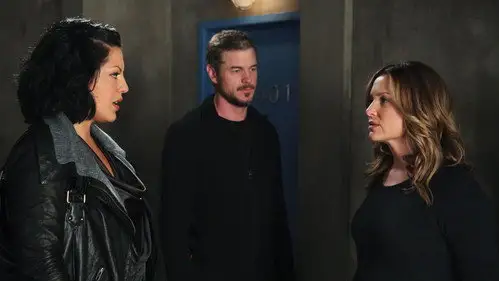 Anatomía de Grey Temporada 7 Episodios 12 • Sub Español