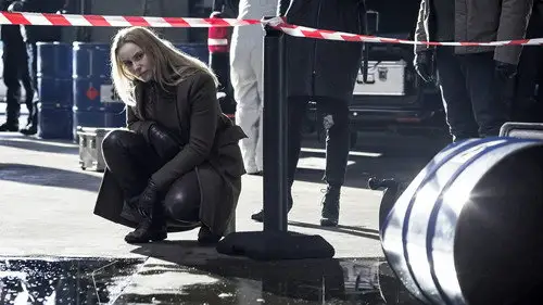El puente Temporada 2 Episodios 5 • Sub Español