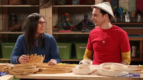 Big Bang Temporada 8 Episodios 12 • Sub Español