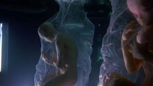 Alienígenas ancestrales Temporada 14 Episodios 8 • Sub Español