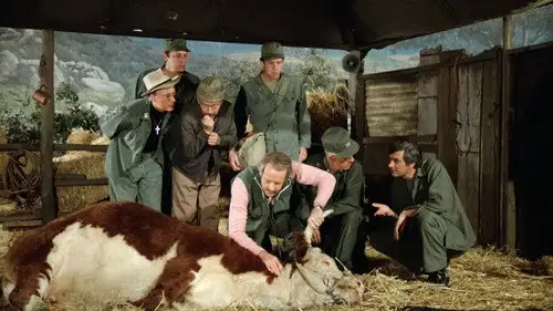 M*A*S*H Temporada 10 Episodios 11 • Sub Español