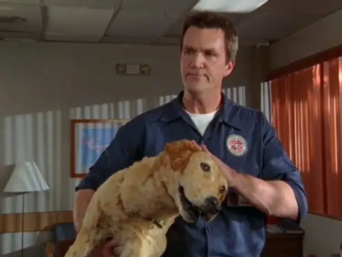 Scrubs Temporada 6 Episodios 12 • Sub Español