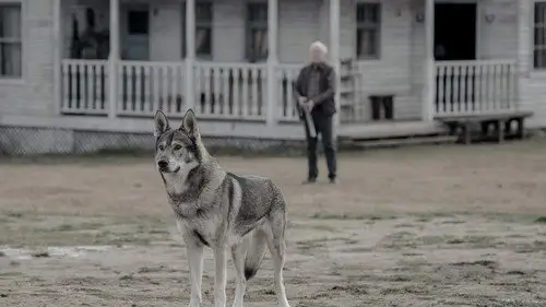 Absentia Temporada 3 Episodios 6 • Sub Español