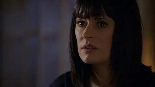 Mentes criminales Temporada 6 Cap 14 • Español Online