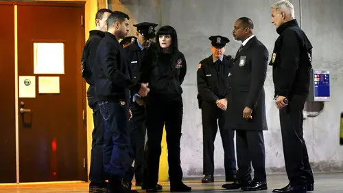 Navy: Investigación criminal Temporada 14 Episodios 15 • Sub Español