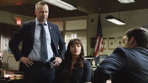 Familia de policías Temporada 8 Episodios 4 • Sub Español