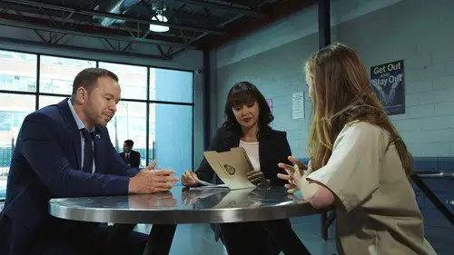 Familia de policías Temporada 9 Episodios 3 • Sub Español