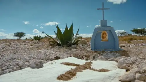 De Mol Temporada 6 Episodios 1 • Sub Español
