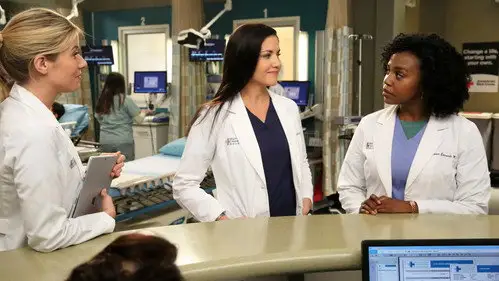 Anatomía de Grey Temporada 13 Cap 13 • Español Online