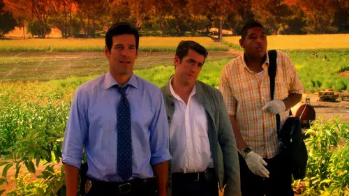CSI: Miami Temporada 8 Episodios 5 • Sub Español