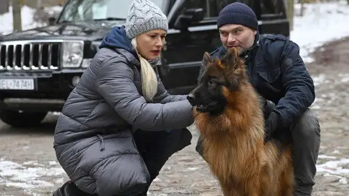 Komisarz Alex Temporada 19 Episodios 1 • Sub Español