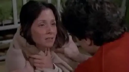 Baretta Temporada 1 Episodios 2 • Sub Español