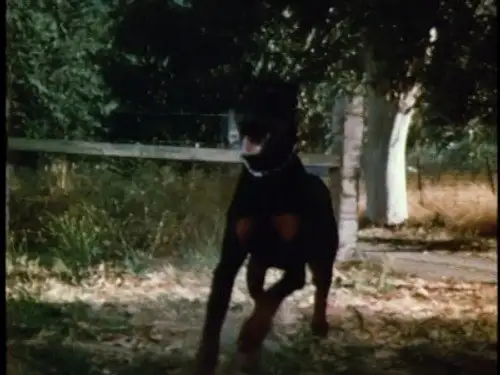 Cannon Temporada 3 Episodios 4 • Sub Español