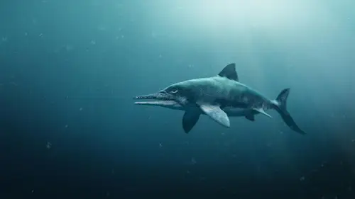 Nature S37E7 • Oglądaj Online