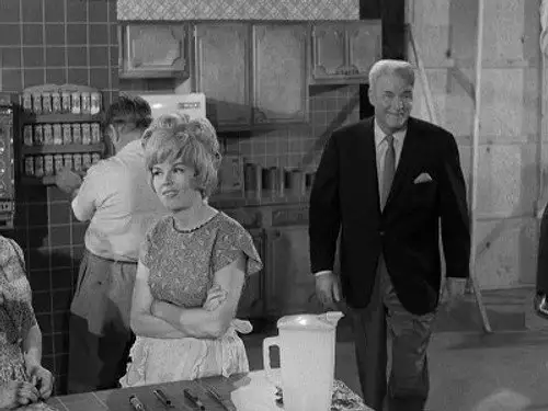 Perry Mason Temporada 9 Episodios 11 • Sub Español