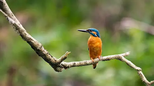 Springwatch Temporada 21 Episodios 3 • Sub Español