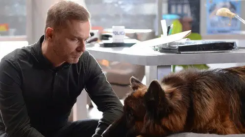 Komisarz Alex Temporada 9 Episodios 10 • Sub Español