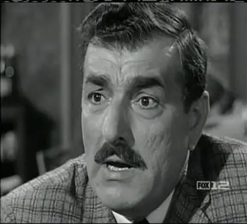 Perry Mason Temporada 8 Episodios 8 • Sub Español