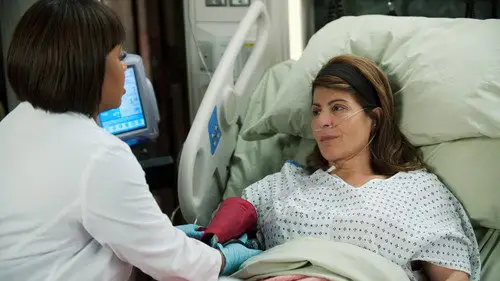 Anatomía de Grey Temporada 8 Cap 12 • Español Online