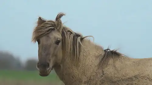 Countryfile S38E9 • Oglądaj Online