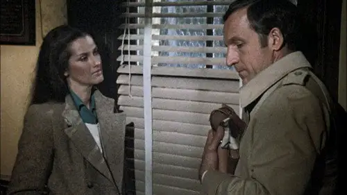 Canción triste de Hill Street Temporada 2 Episodios 14 • Sub Español