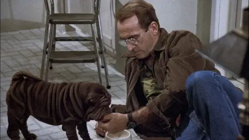 Canción triste de Hill Street Temporada 6 Episodios 5 • Sub Español