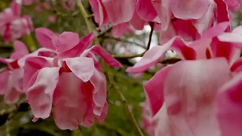 Countryfile S37E14 • Oglądaj Online
