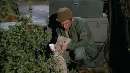 M*A*S*H Temporada 3 Episodios 14 • Sub Español