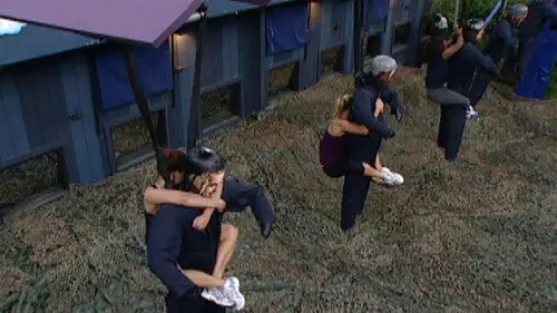 Gran hermano (Estados Unidos) Temporada 13 Episodios 24 • Sub Español